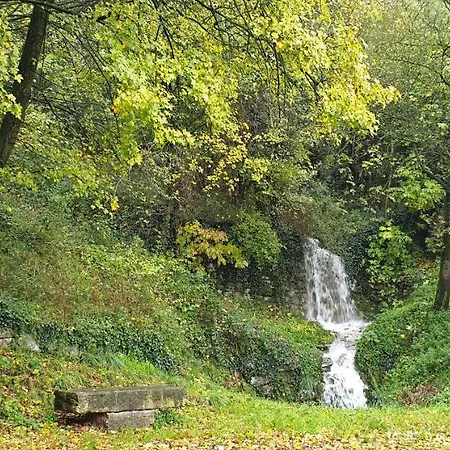 Nyaraló 